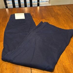 Loft size 6 Petite Monroe Wide Leg